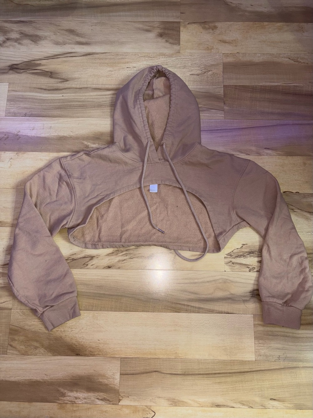 Cropped Hooded Sweatshirt in Dusty Rose